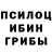 Псилоцибиновые грибы GOLDEN TEACHER test eax