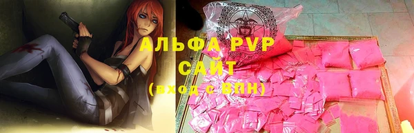 стафф Богданович