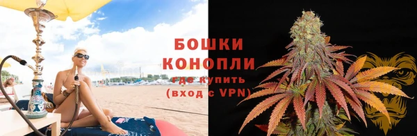 стафф Богданович