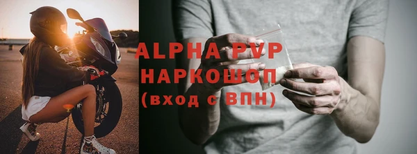 стафф Богданович