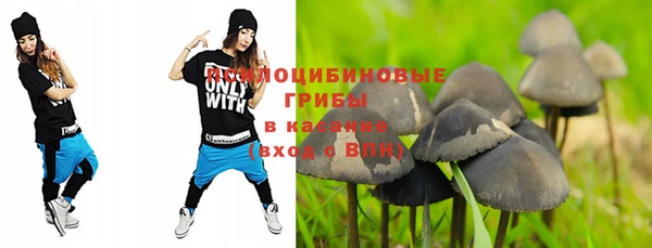 стафф Богданович
