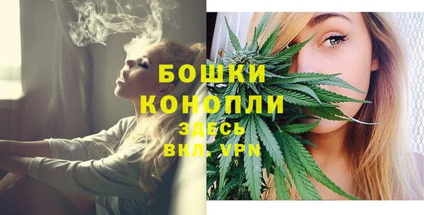 стафф Богданович